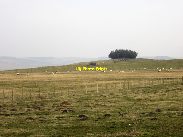 Photo 6"x4" Grassland on Horton Moor East Horton c2013