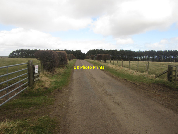 Photo 6"x4" Minor Road near Barmoor Ford Hill\/NT9537 c2013
