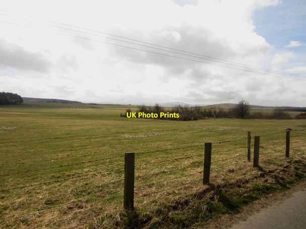 Photo 6"x4" Grassland at Barmoor South Moor Bowsden c2013
