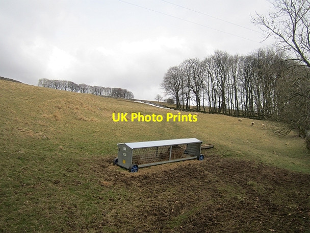 Photo 6"x4" Cratch, Kelleth Kelleth c2013