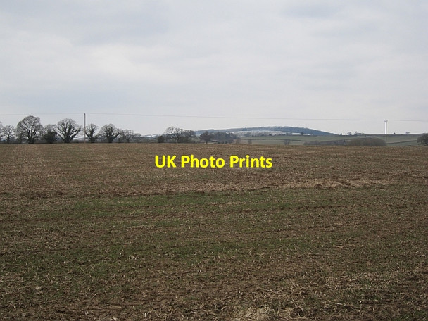 Photo 6"x4" Field, Culmington Burley\/SO4781 c2013