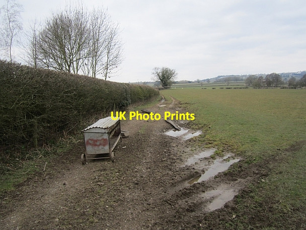Photo 6"x4" Sheep feeding kit, Culmington Culmington c2013