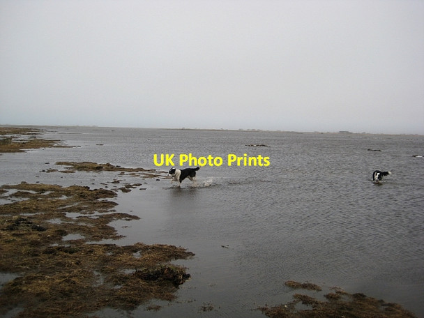 Photo 6"x4" Loch B\u00c3\u00ac \u00c0ird na Monadh c2013