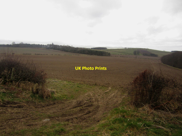Photo 6"x4" Arable land east of Fenton Hill Fenton\/NT9733 c2013