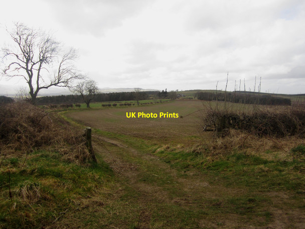 Photo 6"x4" Farm track to Fenton Hill Fenton\/NT9733 c2013