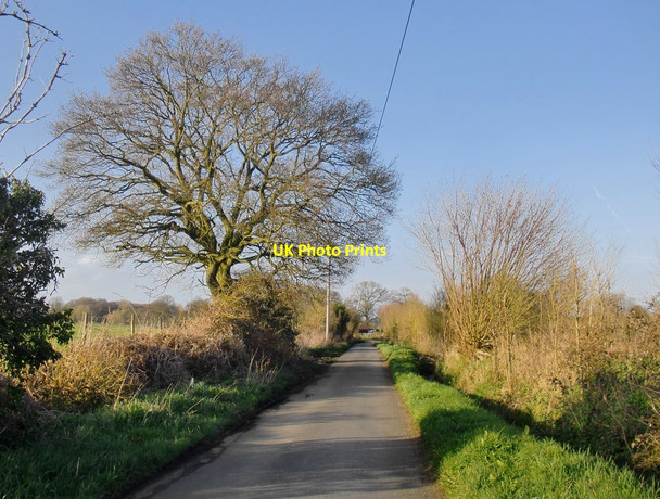 Photo 6"x4" Runtley Wood Lane Sutton Green\/TQ0054 c2013