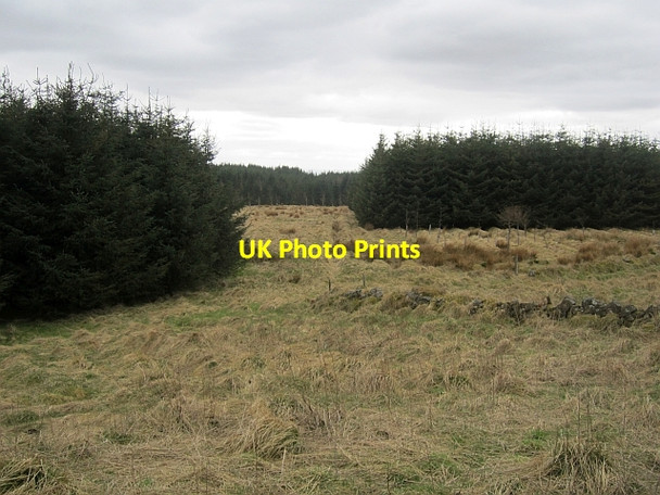 Photo 6"x4" Former farm land, Kings-seat Bowershall c2013