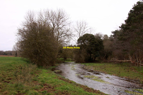 Photo 6"x4" The infant River Thames near Kemble Ewen c2013