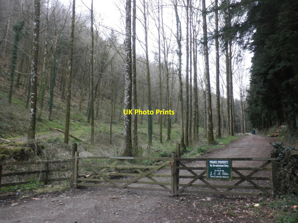 Photo 6"x4" Commercial forestry entrance, Stanterton Plantation Washfield c2013
