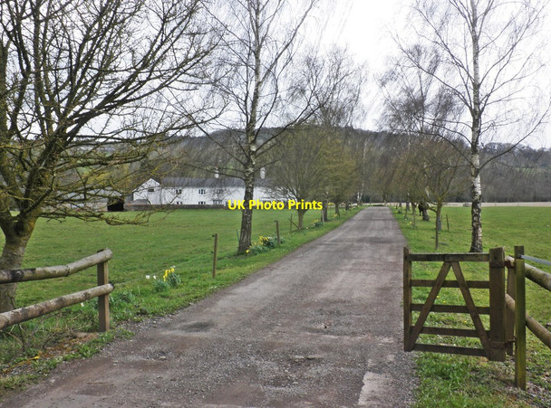 Photo 6"x4" Entrance Driveway, Marsh Farm Washfield c2013