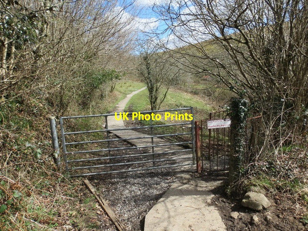 Photo 6"x4" Llwybr Amman View Path, Brynaman Brynamman c2013