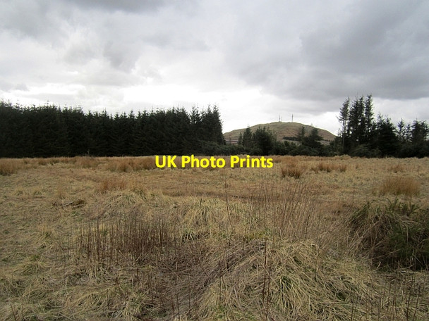 Photo 6"x4" Clearing by Knockhill racetrack Bowershall c2013