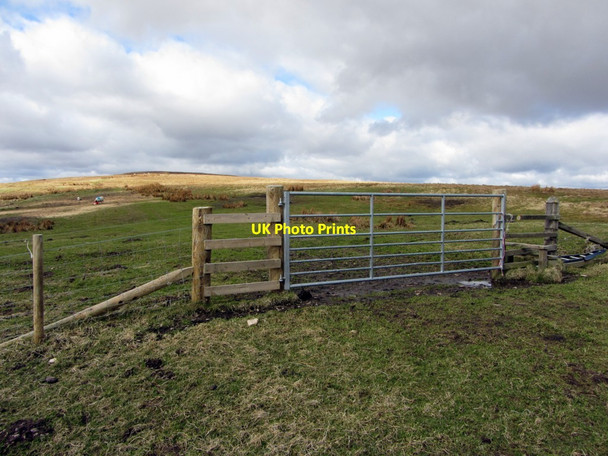 Photo 6"x4" Gate on track east of Deel's Hill Fulhope c2013