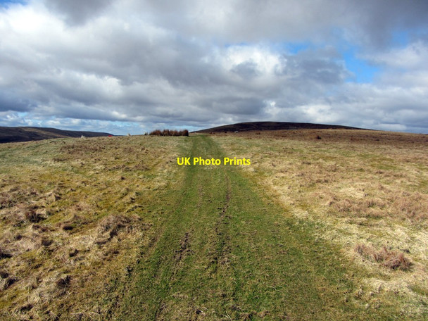 Photo 6"x4" Track approaching Eald Rigg, east of Deel's Hill Fulhope c2013