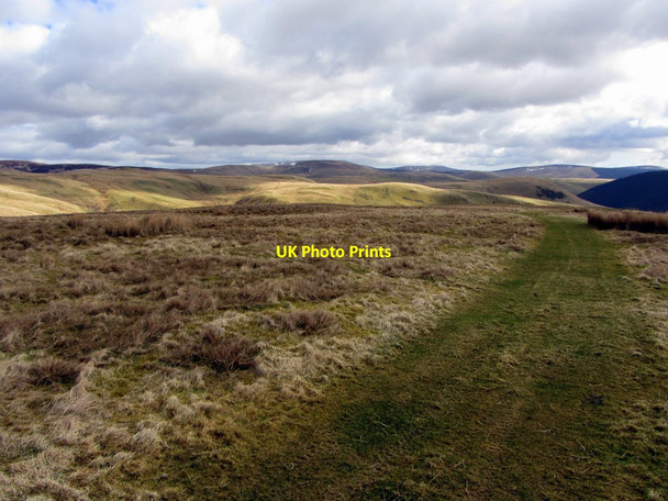 Photo 6"x4" Track east of Eald Rigg on Deel's Hill Fulhope c2013