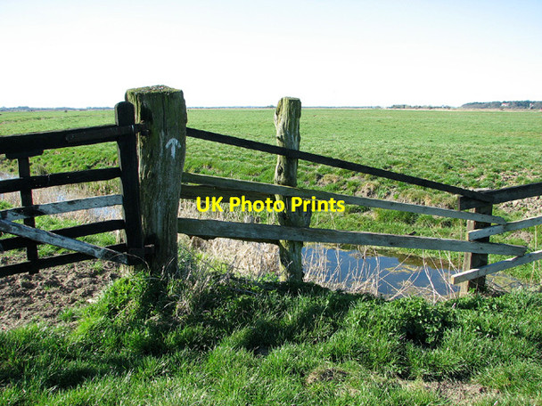 Photo 6"x4" Marsh pastures south of Somerleyton Haddiscoe c2013