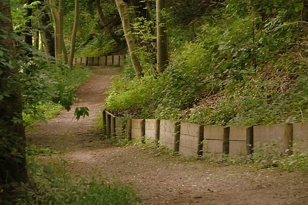 Photo 6"x4" Thames Path in Hartslock Wood Lower Basildon c2008