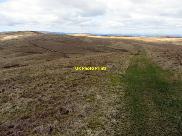 Photo 6"x4" Track on Deel's Hill Deel's Hill c2013