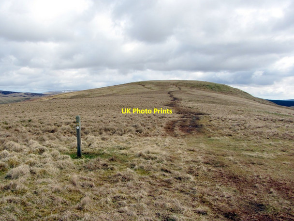 Photo 6"x4" Bridleway on The Dodd towards Deel's Hill Upper Hindhope c2013
