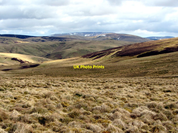 Photo 6"x4" Moorland north-east of Brownhart Law Upper Hindhope c2013