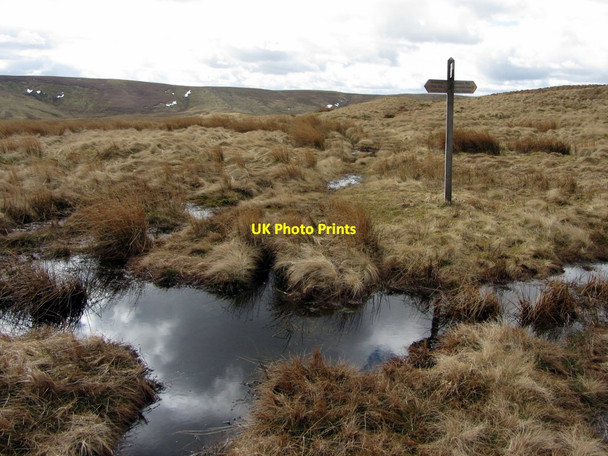 Photo 6"x4" Pools of water on Pennine Way near Brownhart Law Upper Hindhope c2013