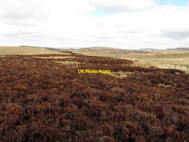 Photo 6"x4" Site of Roman Signal Station, Brownhart Law Upper Hindhope c2013