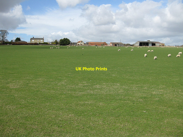 Photo 6"x4" Malton showground Malton\/SE7871 c2013