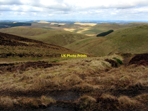 Photo 6"x4" Linear earthwork, Brownhart Law Upper Hindhope c2013
