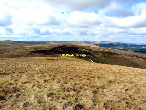 Photo 6"x4" Border ridge south-west of Brownhart Law Upper Hindhope c2013