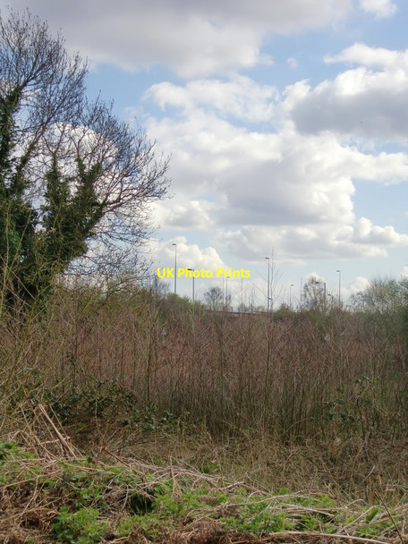 Photo 6"x4" Scrubland by the A3 Bridge End\/TQ0757 c2013