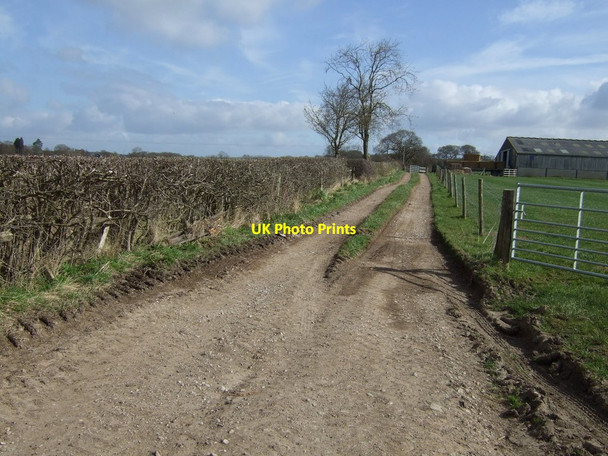 Photo 6"x4" Farm track off Ashbrook Lane Abbots Bromley c2013