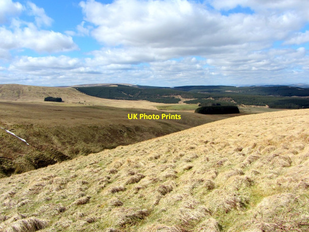 Photo 6"x4" Above Grindstone Burn Upper Hindhope c2013