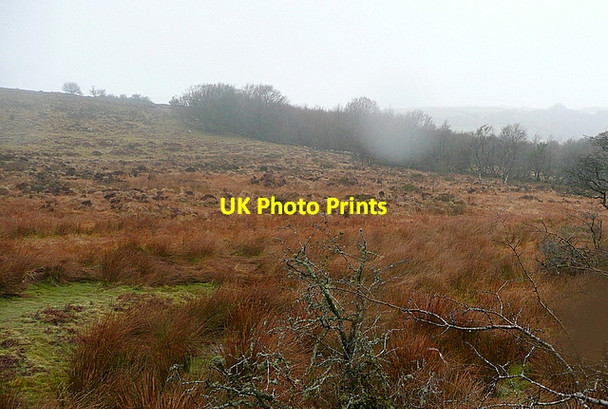 Photo 6"x4" Near Emsworthy Bonehill\/SX7277 c2013