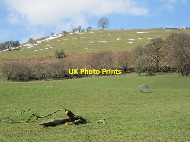 Photo 6"x4" Slopes of the Long Mynd Minton c2013