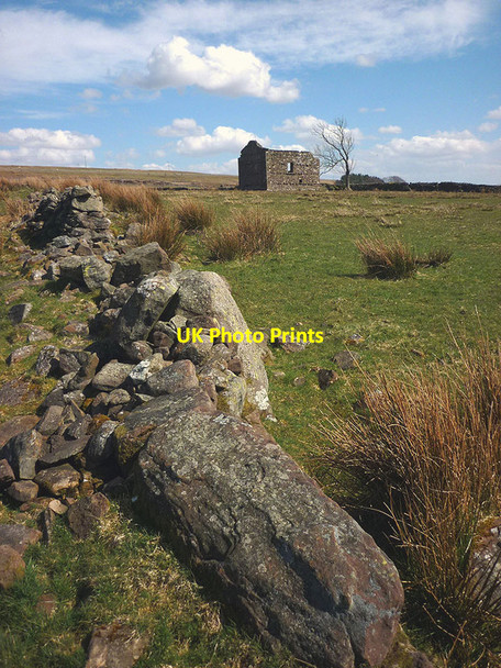 Photo 6"x4" Ruined wall and barn above Birk Beck Scout Green c2013
