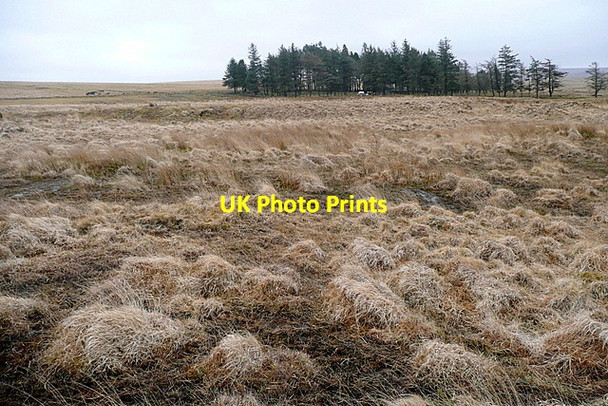 Photo 6"x4" Towards the scout hut Sheepstor c2013