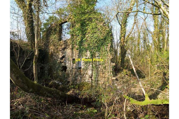 Photo 6"x4" Ruin of Llandyfan new forge and woollen mill Dre-fach\/SN6516 c2013