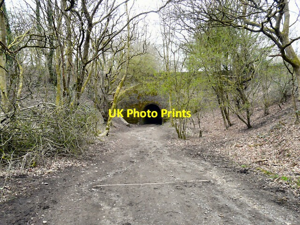 Photo 6"x4" Apethorn Tunnel Hyde\/SJ9494 c2013