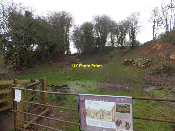 Photo 6"x4" Part of Kilpeck castle moat Kilpeck c2013