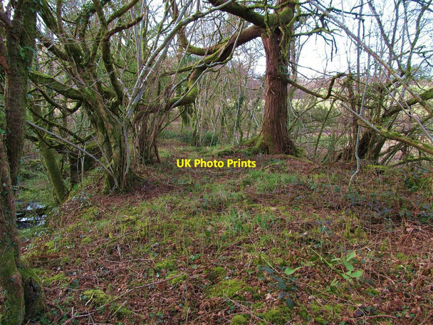 Photo 6"x4" On top of Llandyfan millpond dam Dre-fach\/SN6516 c2013