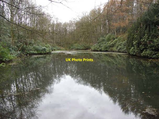 Photo 6"x4" Keele University Lake 7 Seabridge c2009