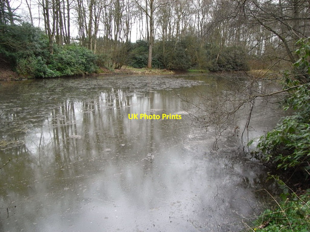 Photo 6"x4" Lake 8 Keele University Seabridge c2009