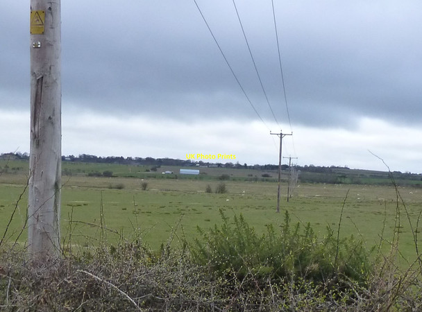 Photo 6"x4" Sheep and line of electricity poles Glantlees c2013