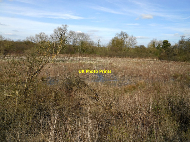 Photo 6"x4" Stockton Cutting Nature Reserve Broadwell\/SP4565 c2013