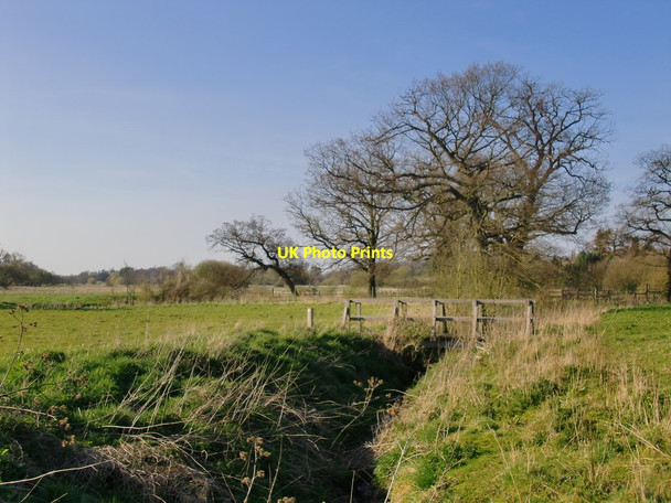 Photo 6"x4" Footbridge across a stream in the Wey flood-plain Burntcommon c2013