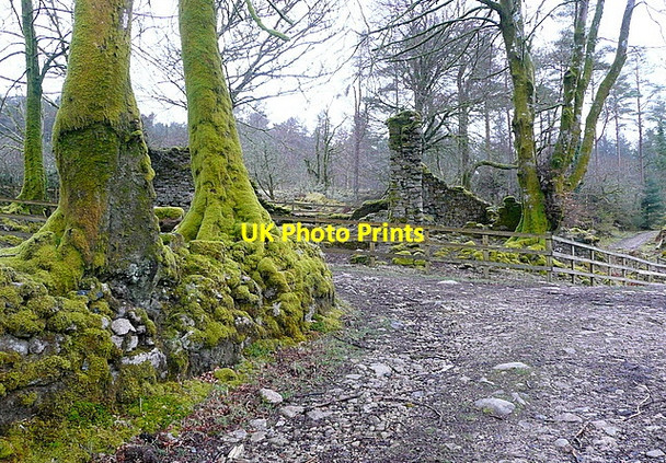 Photo 6"x4" Track junction in Leathertor Plantation Sheepstor c2013