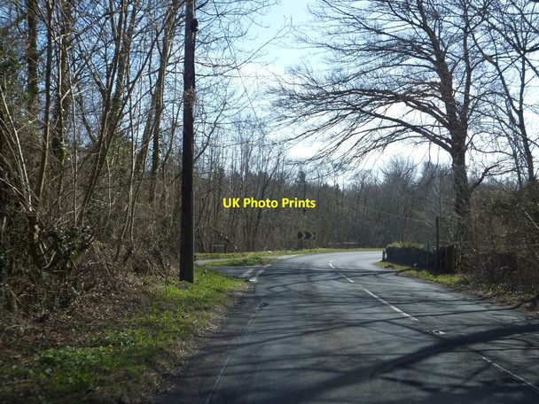 Photo 6"x4" B4228 passing The Park and Parson's Allotment Tidenham Chase c2013