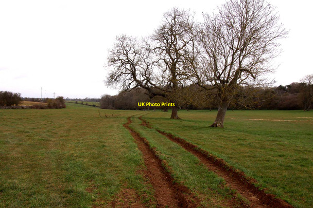 Photo 6"x4" The Thames Path to the source Thames Head c2013