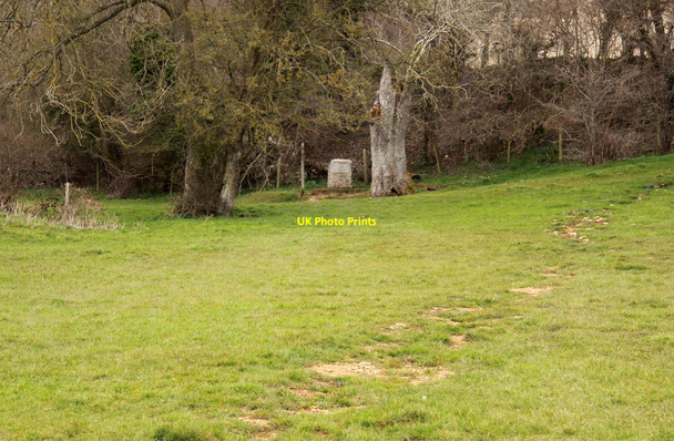 Photo 6"x4" The Thames Path leading to the source Thames Head c2013
