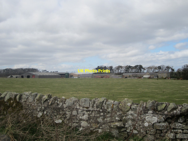 Photo 6"x4" Looking towards Belford Mains Belford\/NU1033 c2013